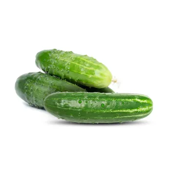 Fresh Cucumber